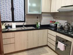 Dover Parkview (D5), Condominium #86009932